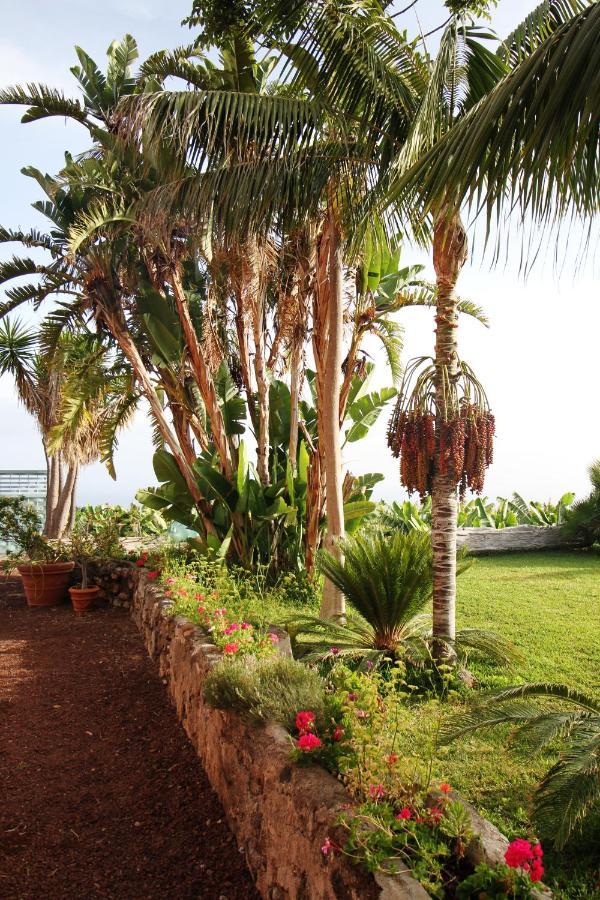 Finca El Patio Los Realejos Eksteriør bilde