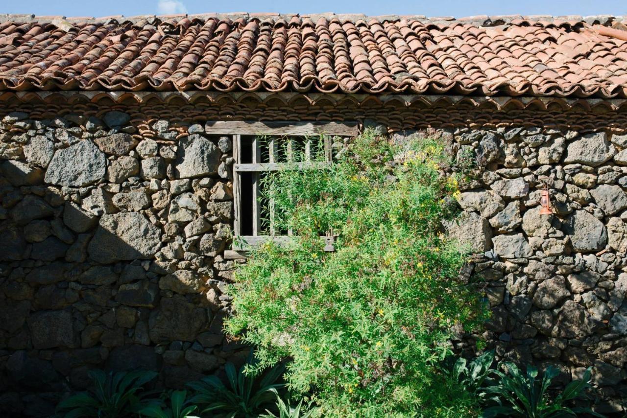 Finca El Patio Los Realejos Eksteriør bilde