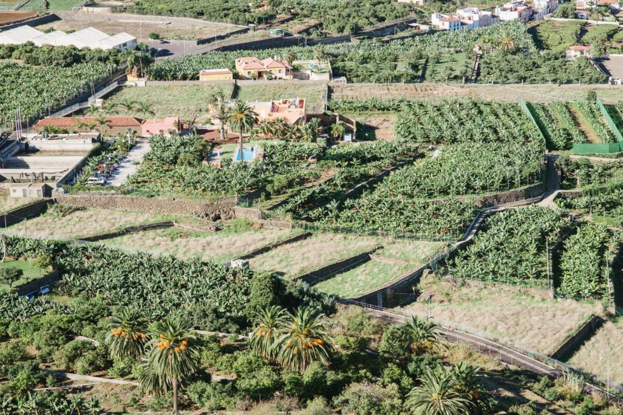Finca El Patio Los Realejos Eksteriør bilde